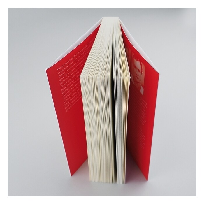 Christian Schiffer: Angela Merkel ist Hitlers Tochter. Im Land der Verschwörungstheorien - Taschenbuch