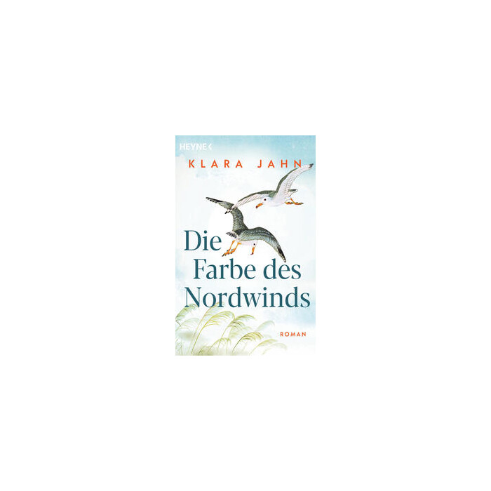Klara Jahn: Die Farbe des Nordwinds - Taschenbuch