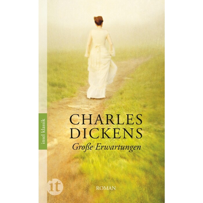 Charles Dickens: Große Erwartungen - Taschenbuch