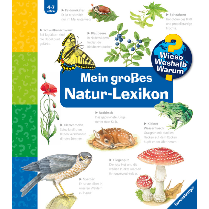 Sandra Noa: Wieso? Weshalb? Warum? Sonderband - Mein großes Natur-Lexikon