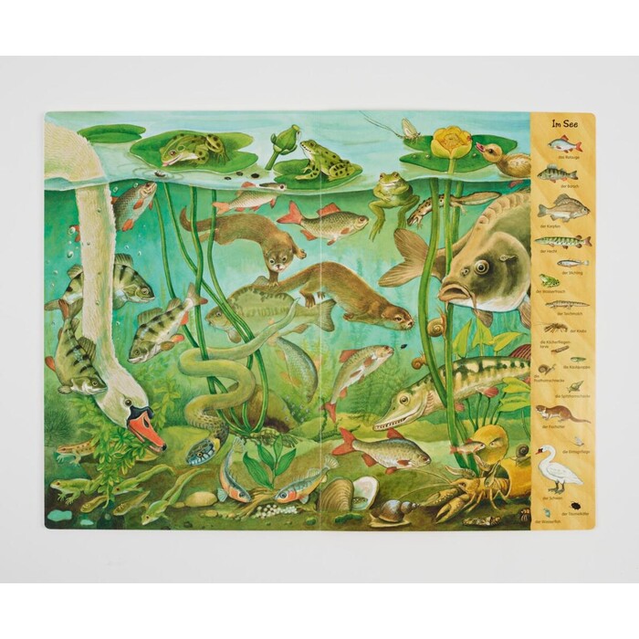 Riesen-Wimmelbuch: Das Riesen-Natur-Wimmelbuch