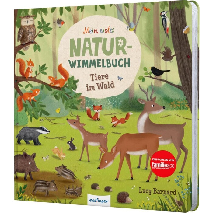 Sibylle Schumann: Mein erstes Natur-Wimmelbuch: Tiere im Wald