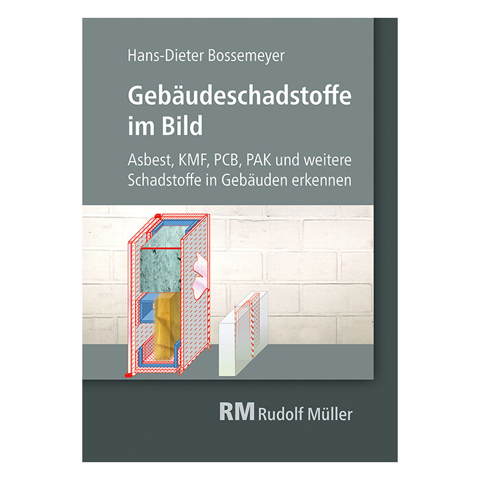 Hans-Dieter Bossemeyer: Gebäudeschadstoffe im Bild - Taschenbuch