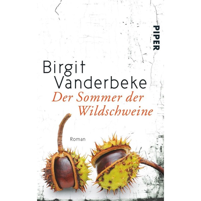 Birgit Vanderbeke: Der Sommer der Wildschweine - Taschenbuch