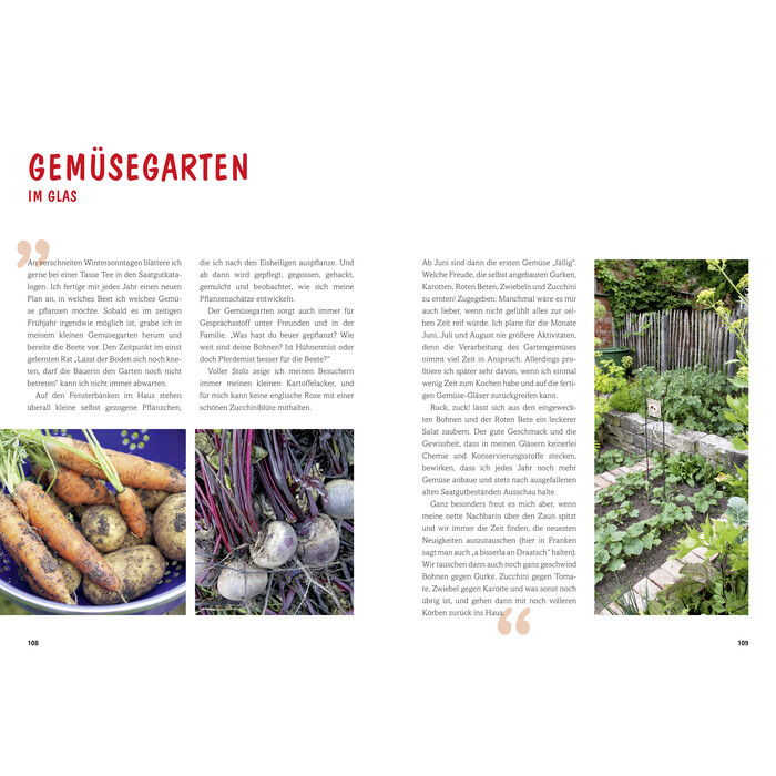 Daniela Wattenbach: Heimat im Glas - Taschenbuch
