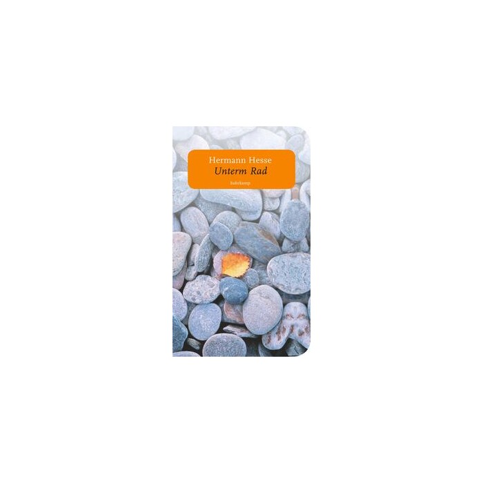 Hermann Hesse: Unterm Rad - Taschenbuch