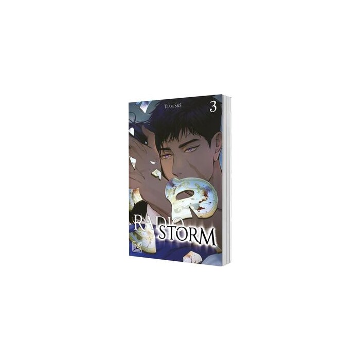 Team S&S: Radio Storm 3 - Taschenbuch