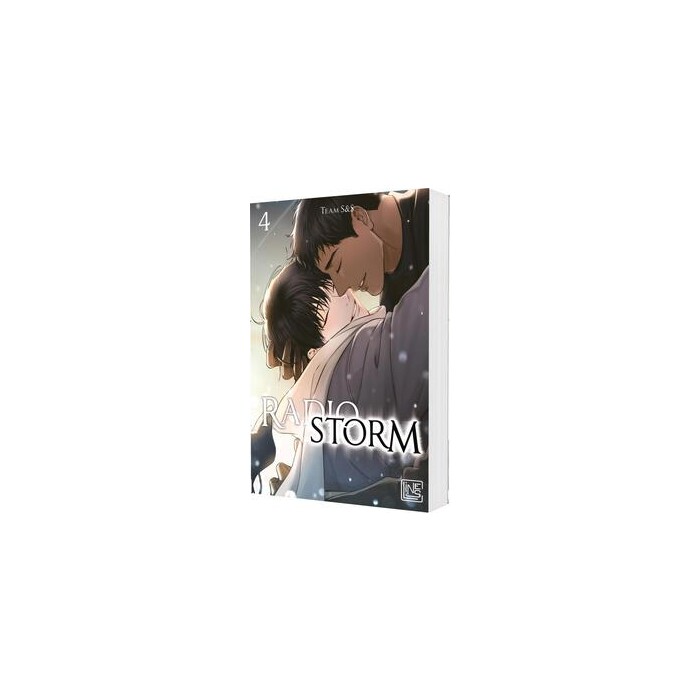 Team S&S: Radio Storm 4 - Taschenbuch
