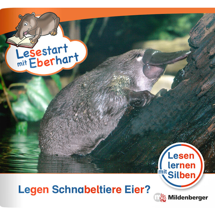 Nicole Brandau: Lesestart mit Eberhart: Legen Schnabeltiere Eier? - geheftet