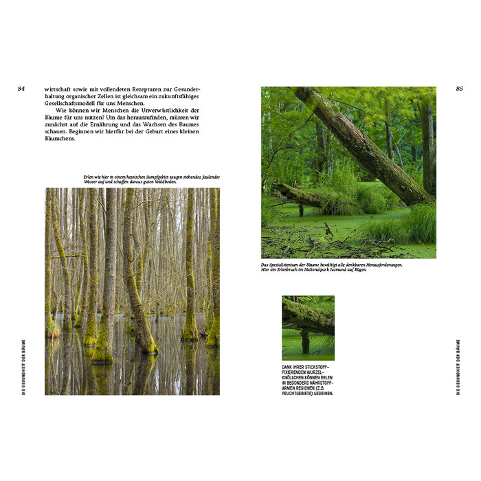 Erwin Thoma: Strategien der Natur - gebunden