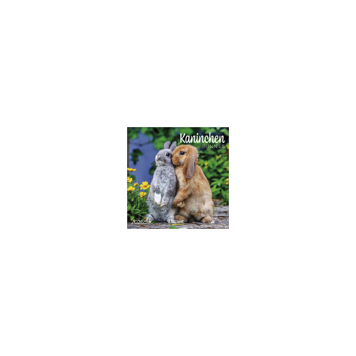 KORSCH Wandkalender Kaninchen 30 x 30 cm bunt 2026