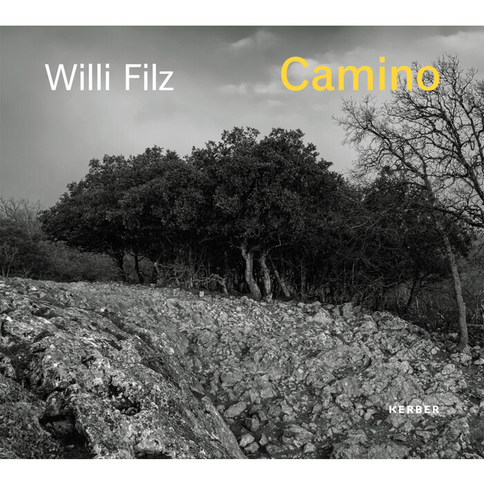 Willi Filz - gebunden