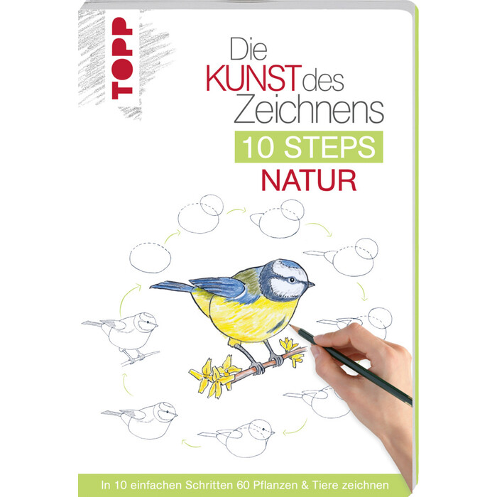 Mary Woodin: Die Kunst des Zeichnens 10 Steps - Natur - Taschenbuch