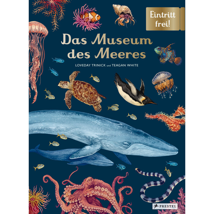 Teagan White: Das Museum des Meeres - gebunden