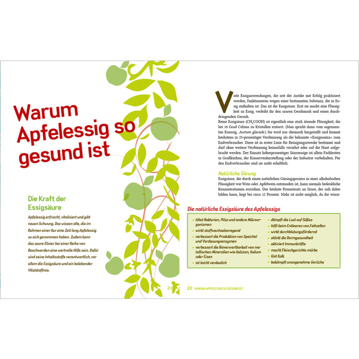 Margot Hellmiß: Naturwunder Apfelessig: Über 200 Rezepte für Gesundheit, Schönheit, Haushalt, Ernährung und Idealgewicht. Über 1 Million mal...