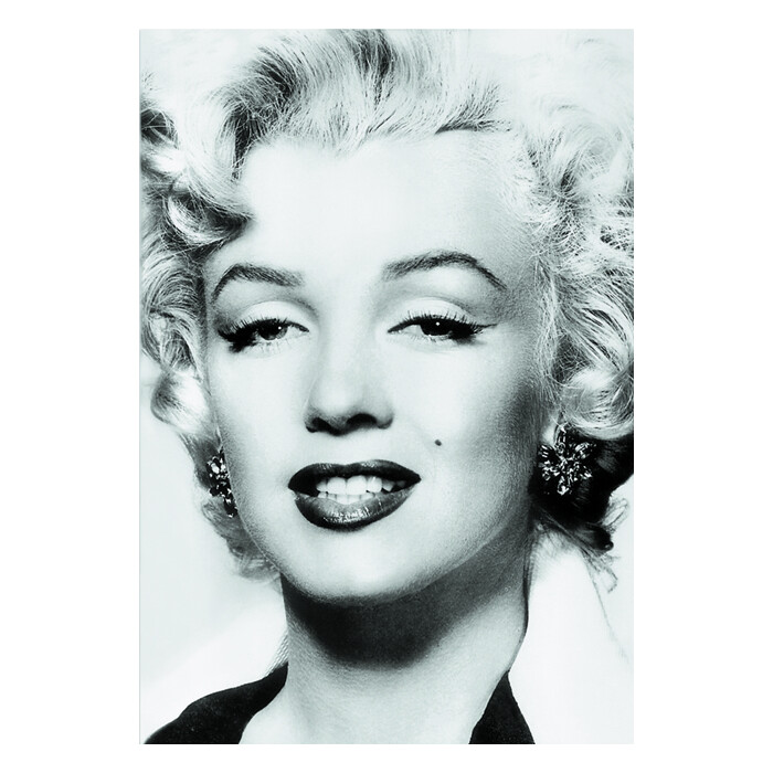 Marilyn Monroe: Silver Marilyn. Marilyn Monroe und die Kamera - gebunden