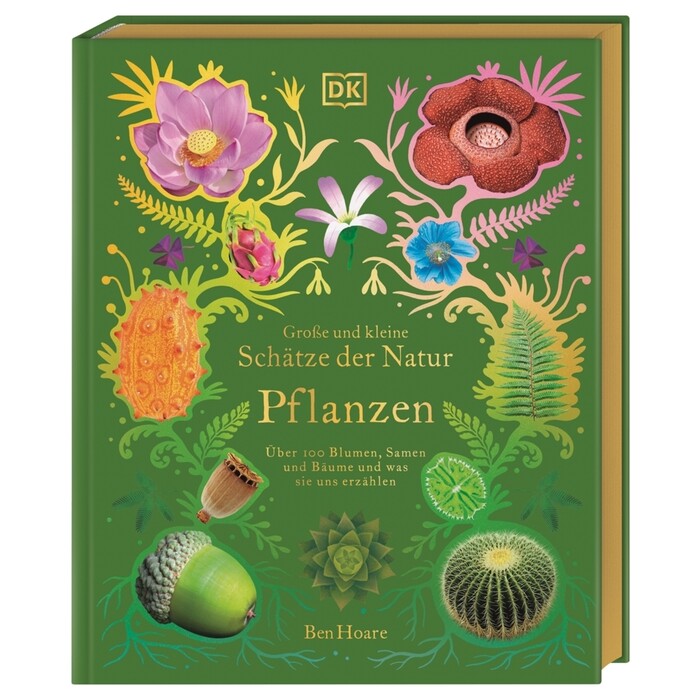Große und kleine Schätze der Natur. Pflanzen - gebunden
