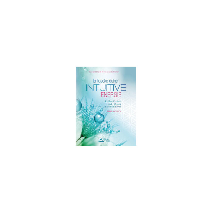 Susanne Schreiter: Entdecke deine intuitive Energie - Taschenbuch