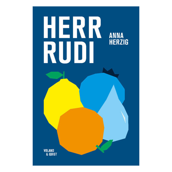 Anna Herzig: Herr Rudi - gebunden