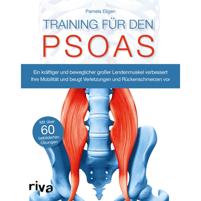 Pamela Ellgen: Training für den Psoas - Taschenbuch