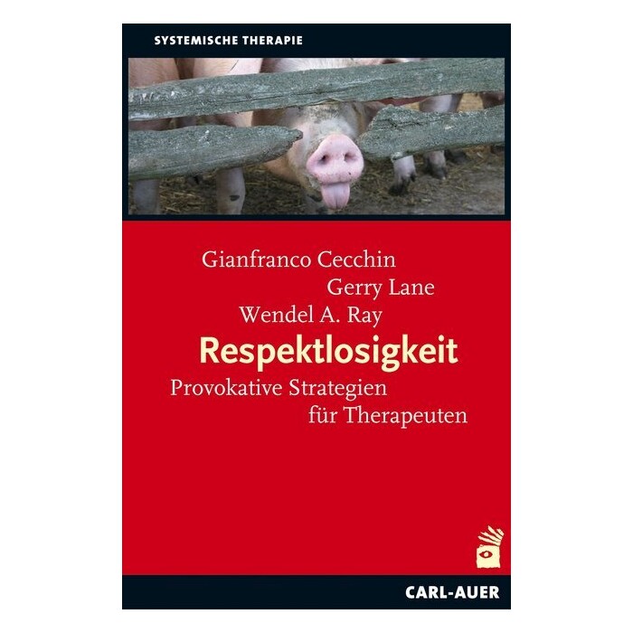 Wendel Ray: Respektlosigkeit - Taschenbuch