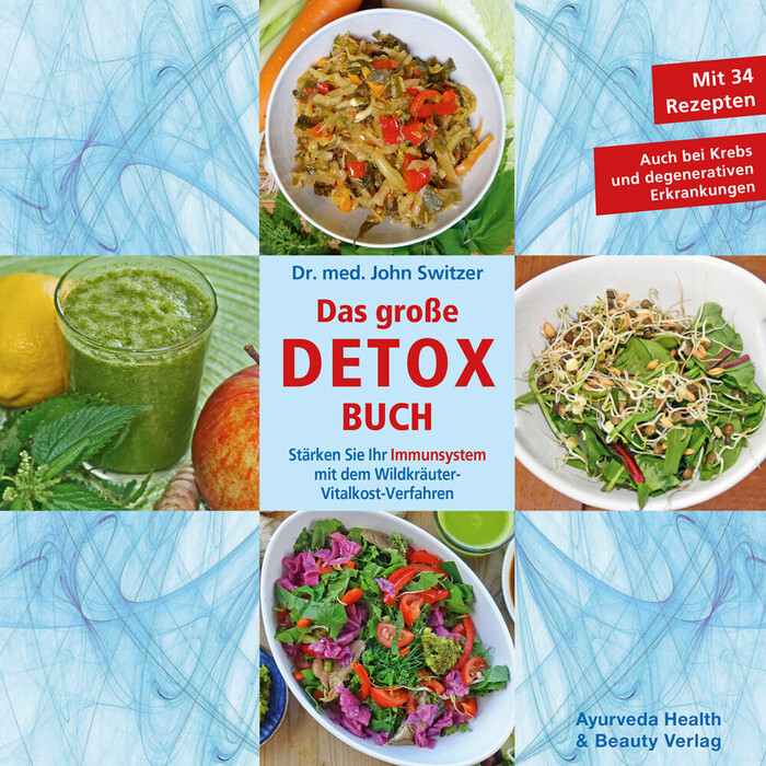John Switzer: Das große DETOX Buch - Taschenbuch
