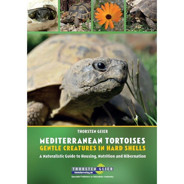 Thorsten Geier: Mediterranean Tortoises: Gentle Creatures in Hard Shells - Taschenbuch