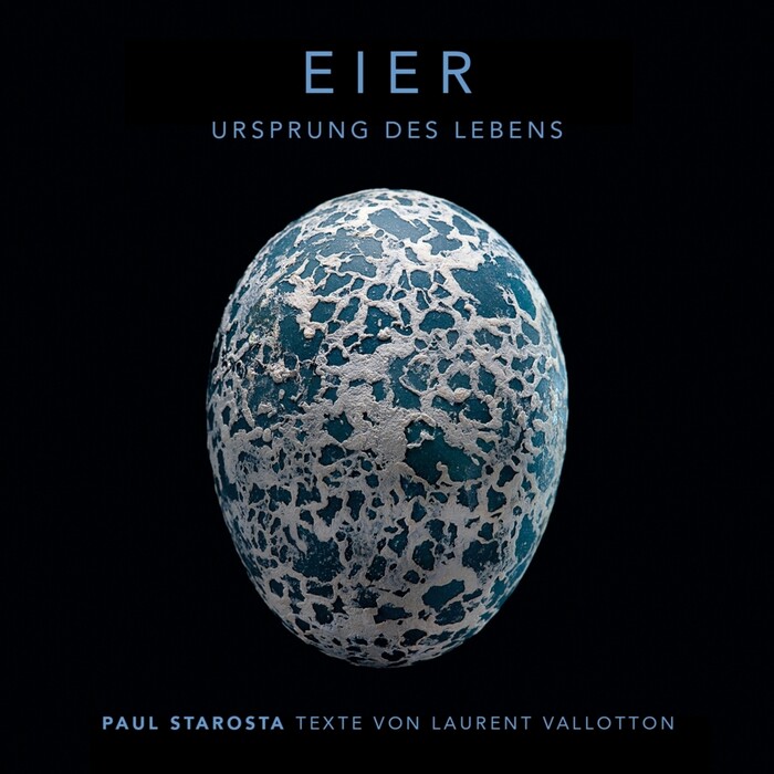 Eier - Ursprung des Lebens - gebunden