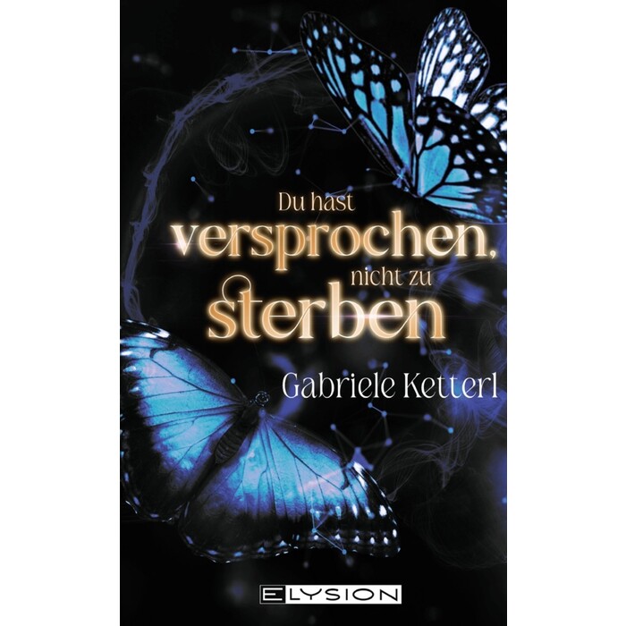 Gabriele Ketterl: Du hast versprochen nicht zu sterben - Taschenbuch