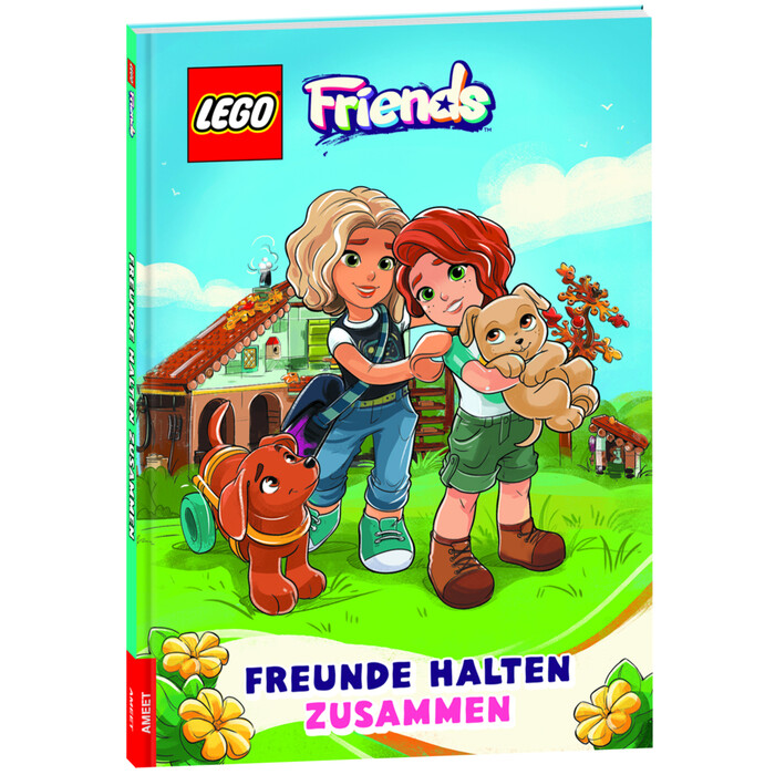 LEGO® Friends - Freunde halten zusammen - Taschenbuch