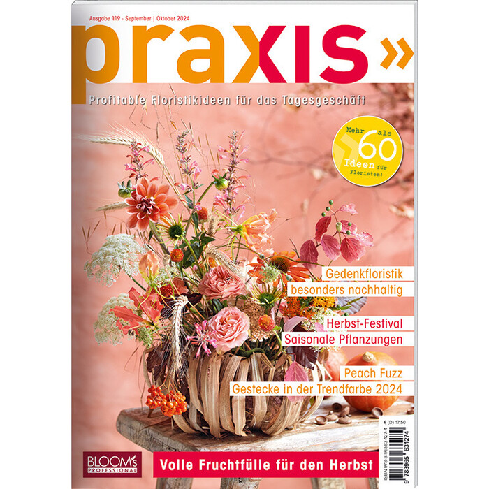 Team PRAXIS: PRAXIS Nr. 119 - geheftet