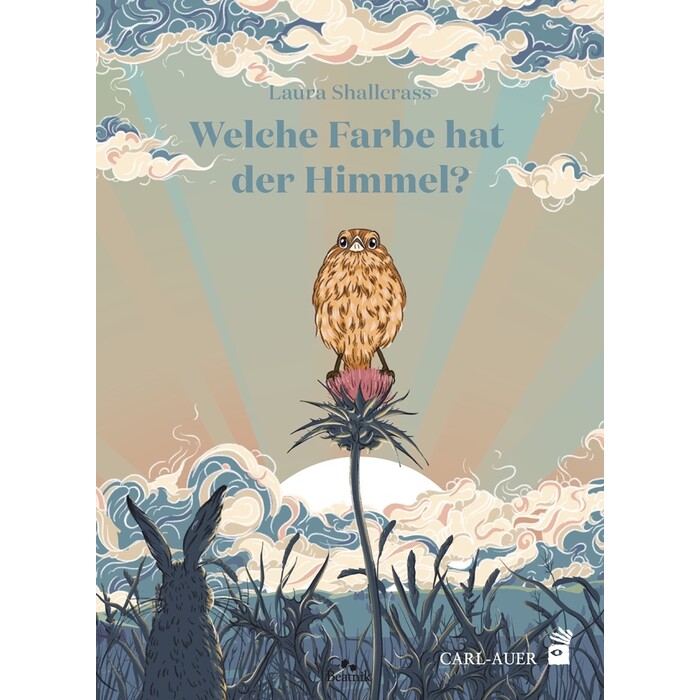 Laura Shallcrass: Welche Farbe hat der Himmel? - gebunden