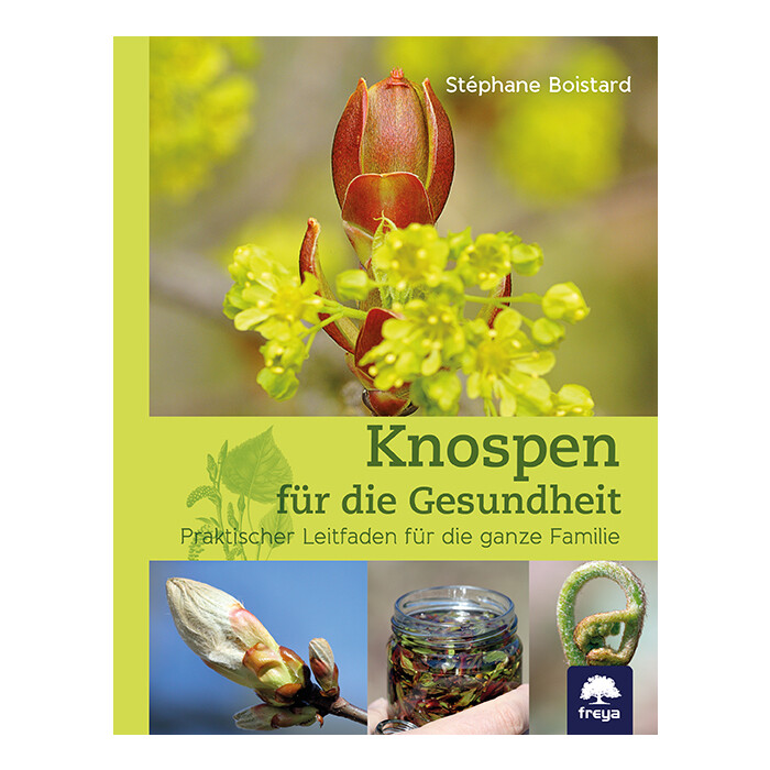 Stéphane Boistard: Knospen für die Gesundheit - gebunden