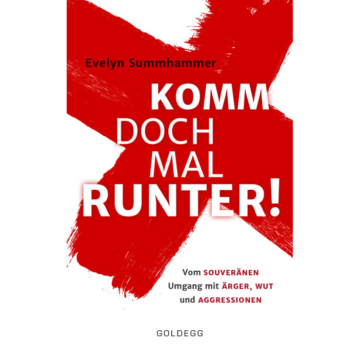 Evelyn Summhammer: Komm doch mal runter - Taschenbuch